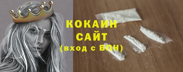 прущие грибы Арсеньев