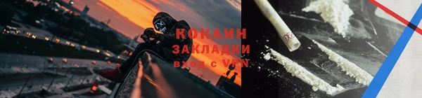 прущие грибы Арсеньев