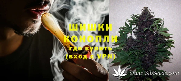 прущие грибы Арсеньев